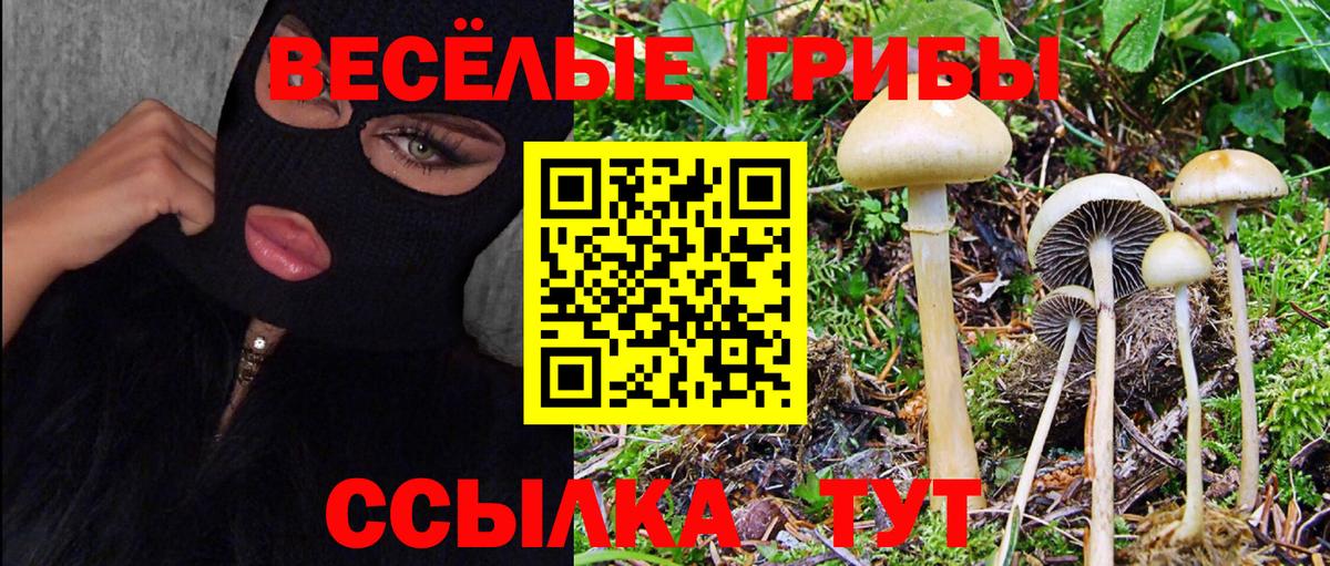 Псилоцибиновые грибы Magic Shrooms Котлас