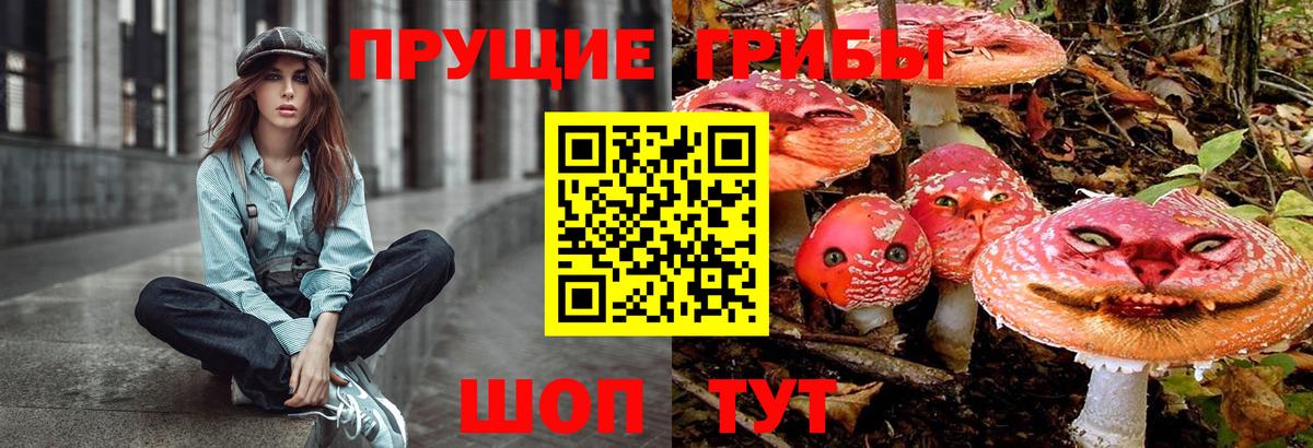 Котлас  Галлюциногенные грибы мицелий  Вход с VPN 